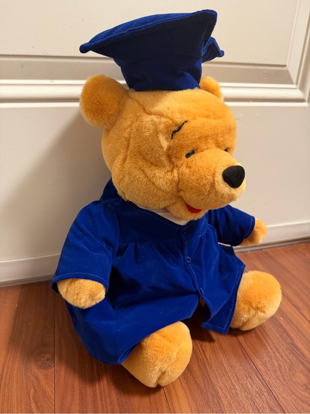 Disney Winnie the Pooh Graduation Stuffed Animal - Picture 6 of 6